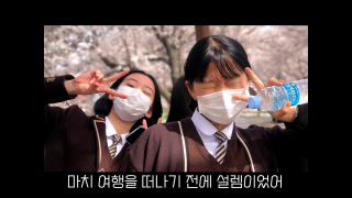 2021년 벚꽃길걷기 UCC 수상작